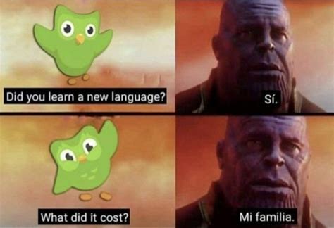 duolingo memes en español.